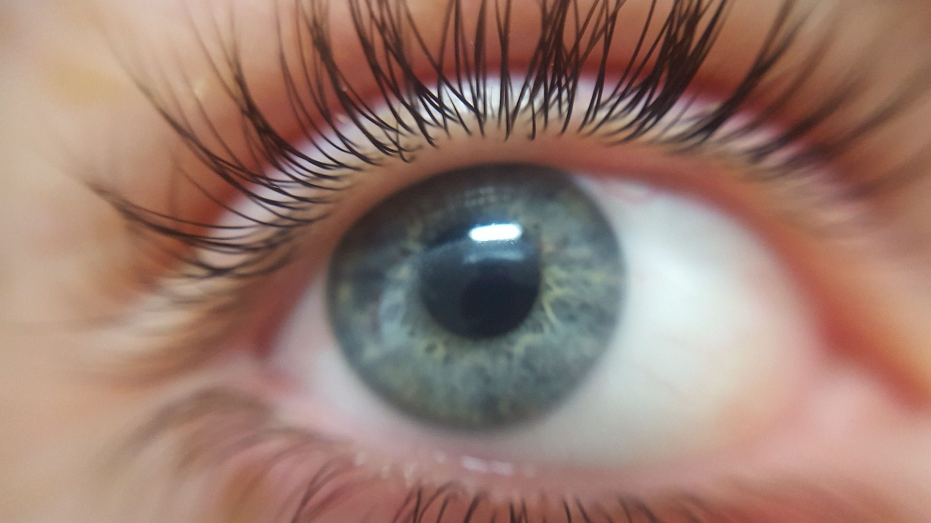 Classic lash extensions by NDI Aesthetics in Kuils River