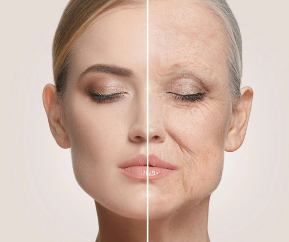 Regenerative Skincare