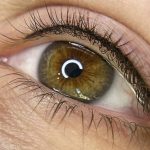 lash_enhancement_pmu_cape_town