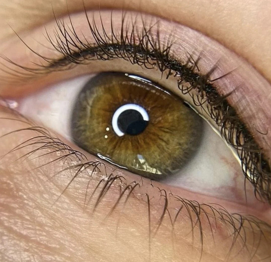 Permanent makeup brows by NDI Aesthetics in Kuils River Cape Town