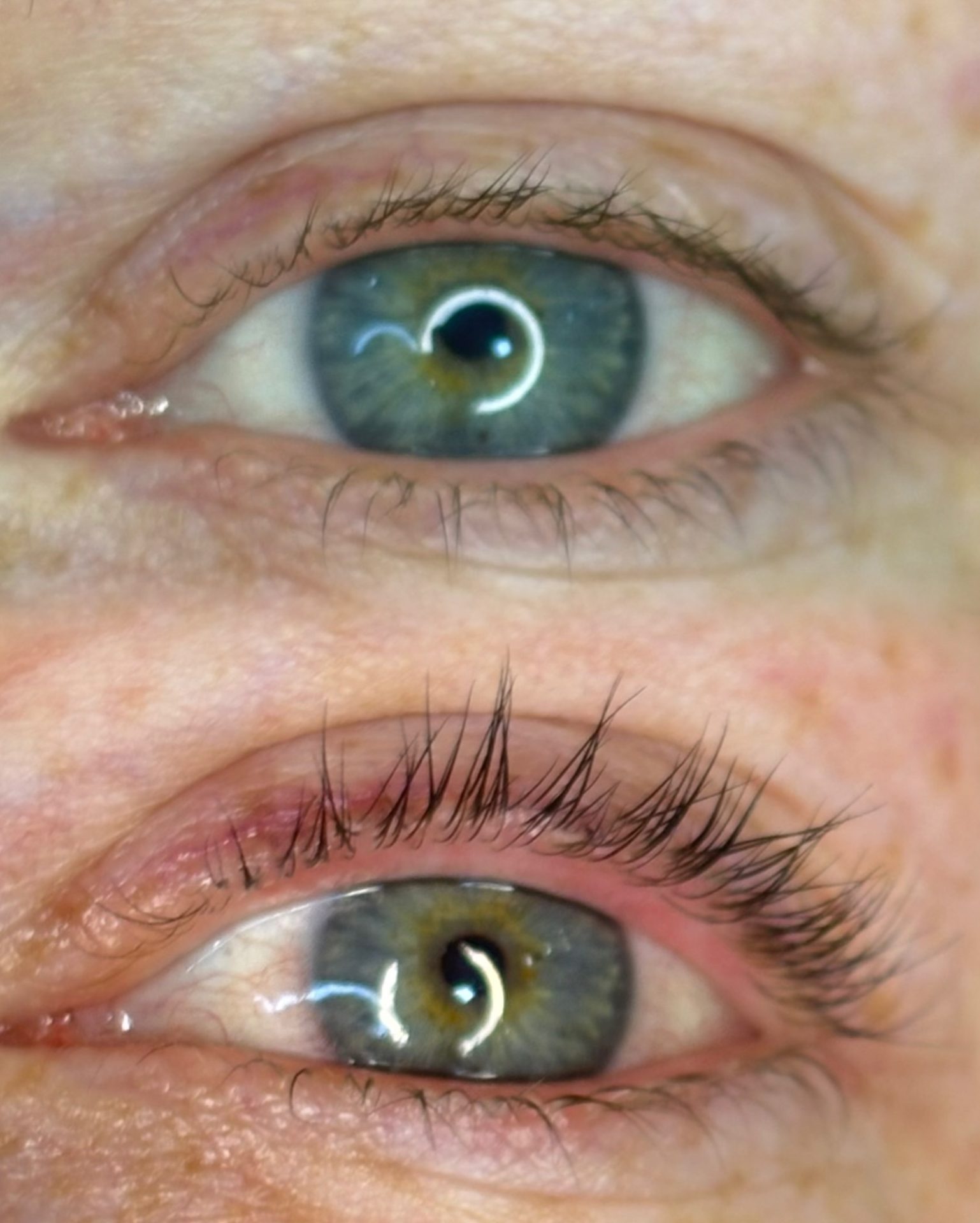 NDI signature lash lift and brow sculpt treatment in Kuils River