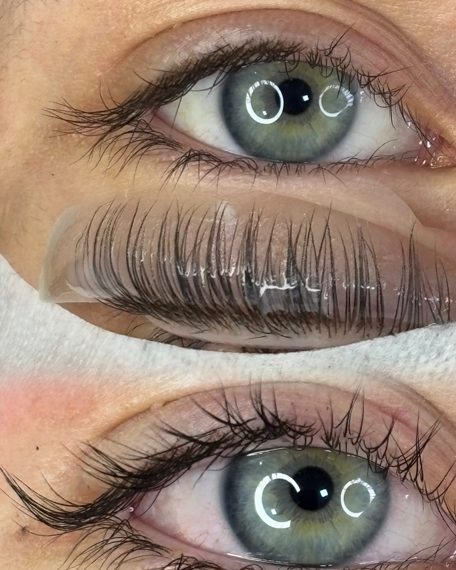 Lash lift and tint treatment in Kuils River Cape Town